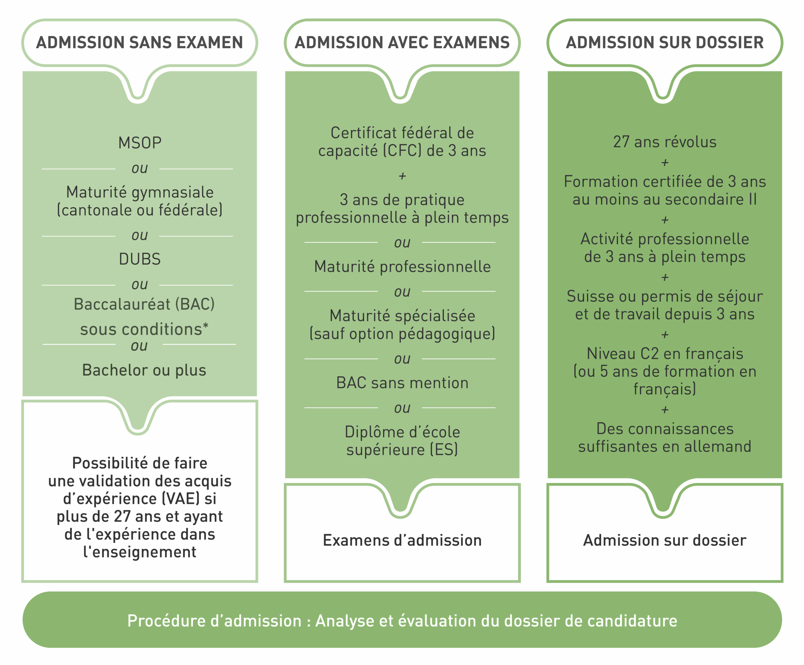 Bachelor en enseignement primaire
