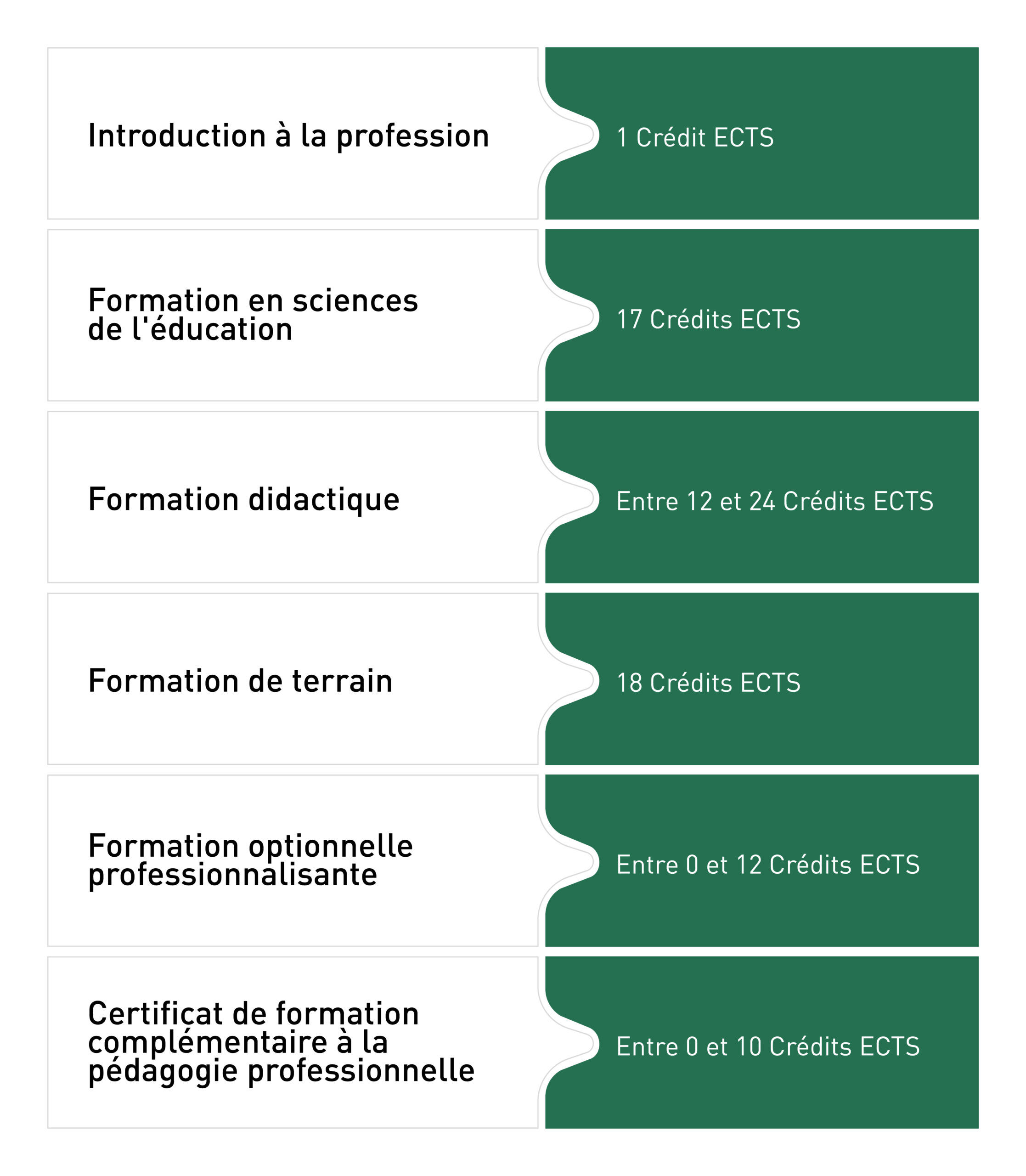 Diplôme d’enseignement pour les écoles de maturité