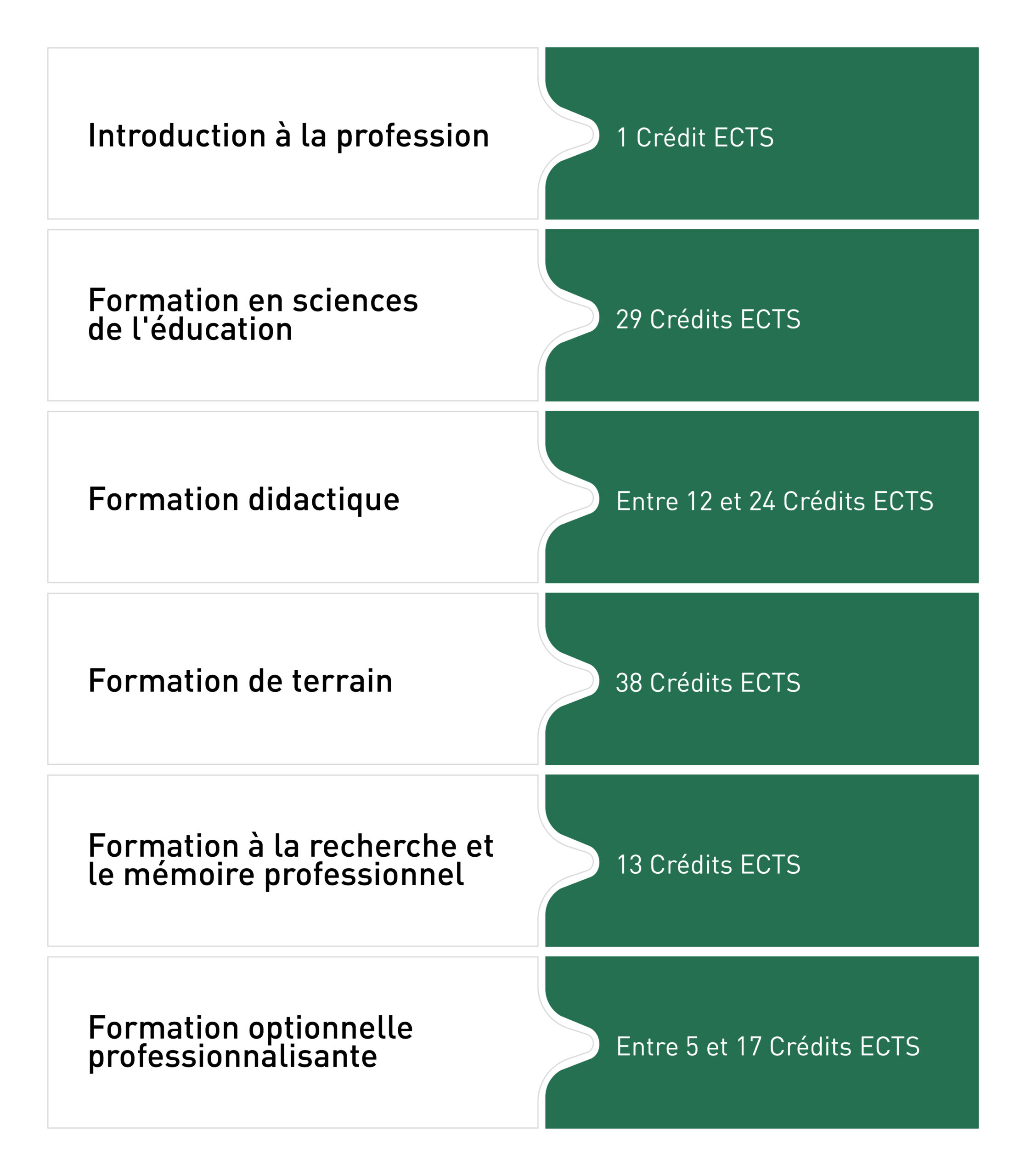 Master en enseignement pour le degré secondaire I