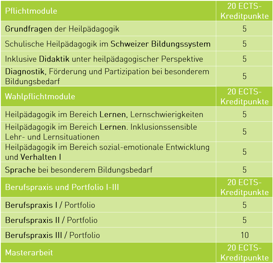 Master Schulische Heilpädagogik 